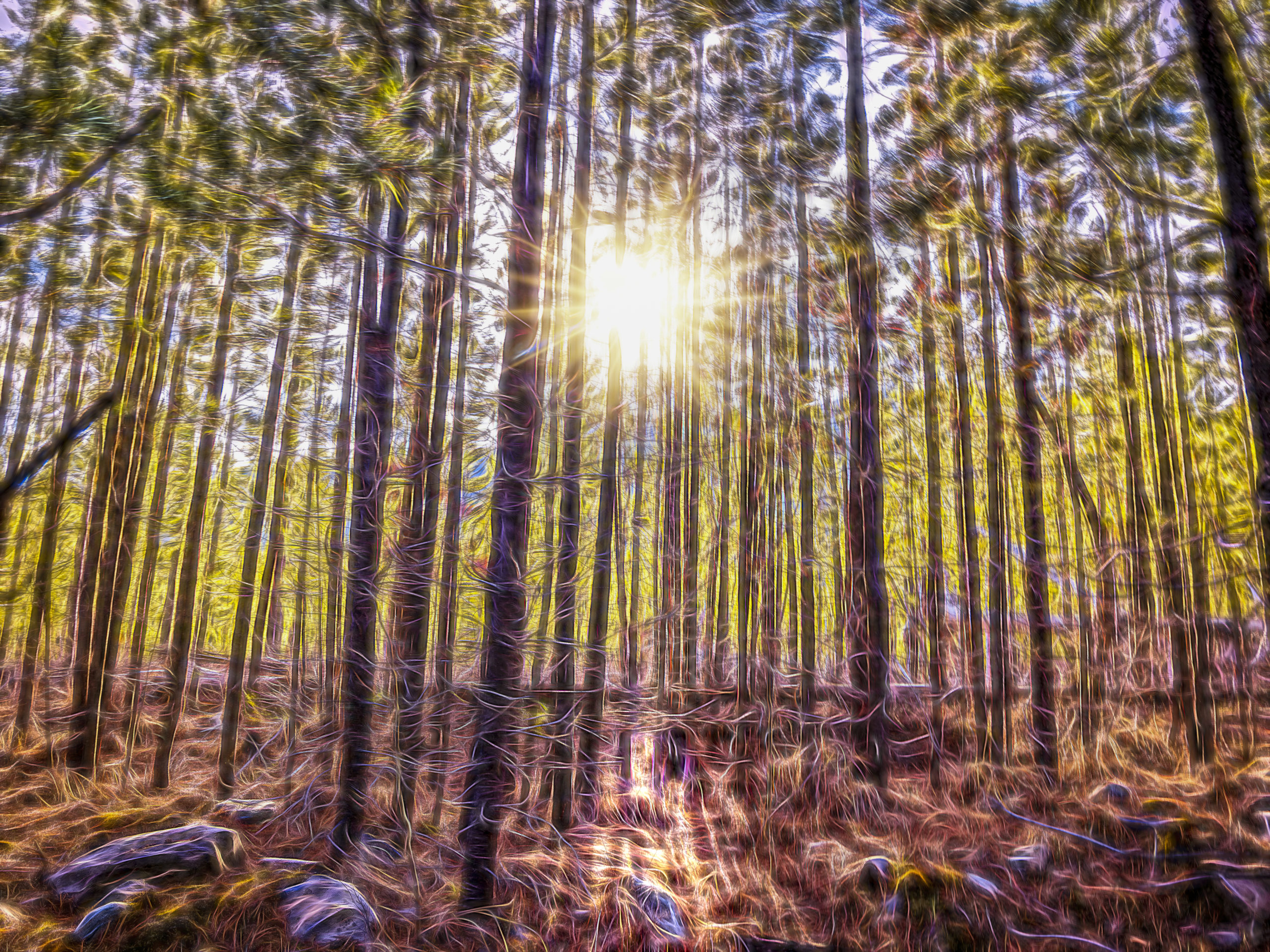 7000 -Magical Moment