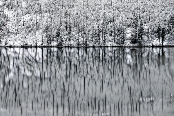 2022 Lines of Reflections