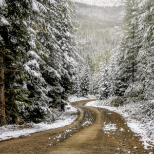 3002 Autumn Meets Winter