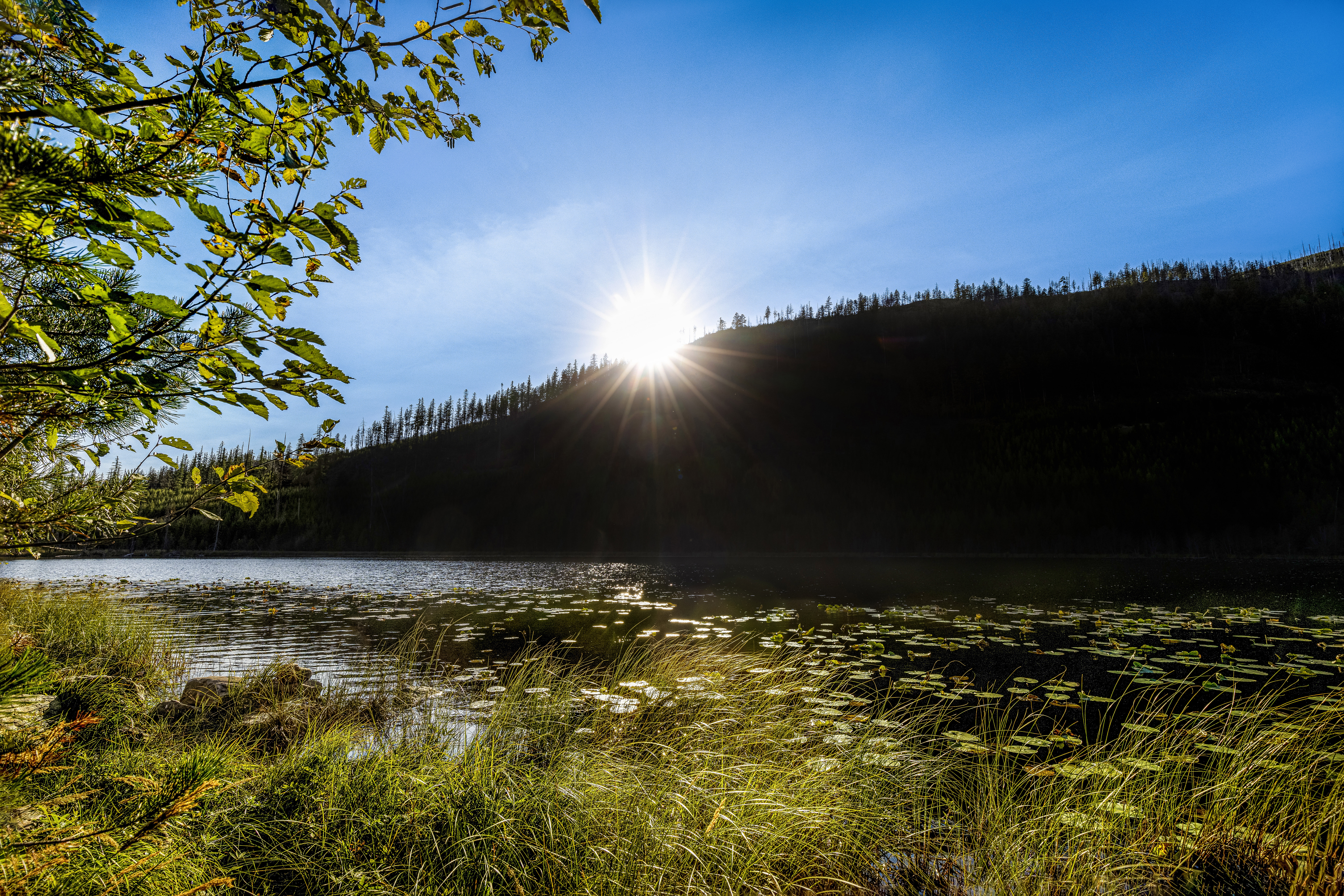 5013 Soothing November