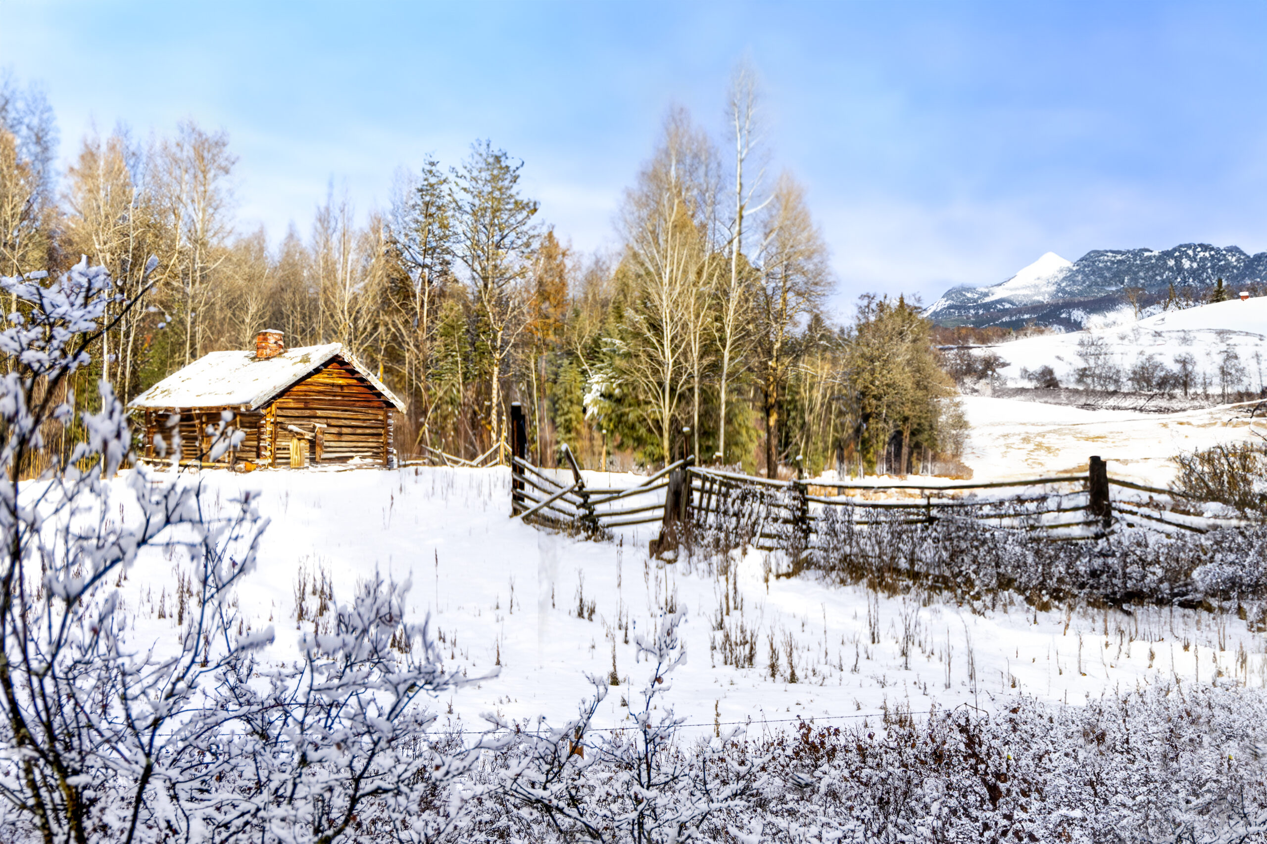 4032 Cozy Cabin Days