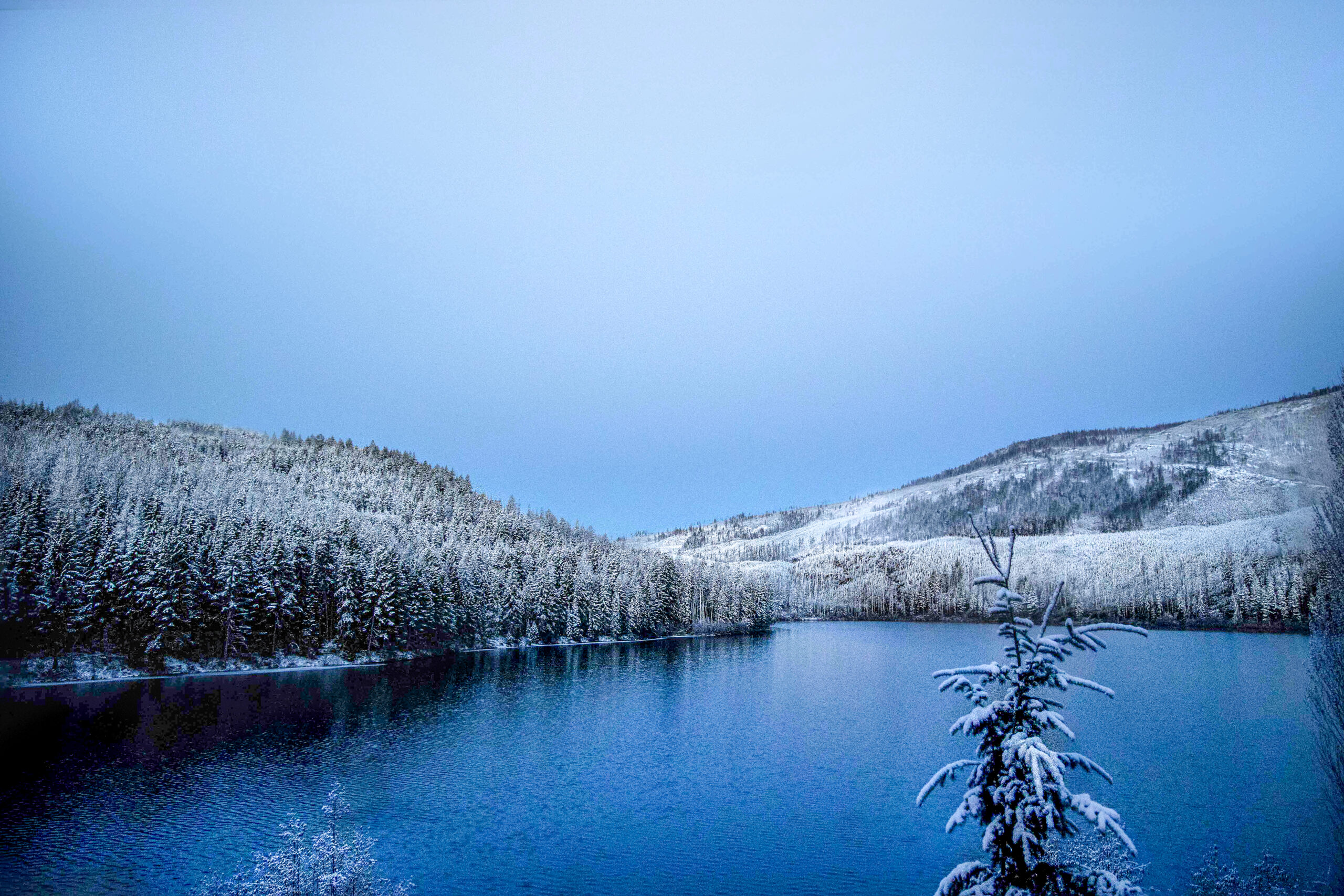 4030 Winter Greetings