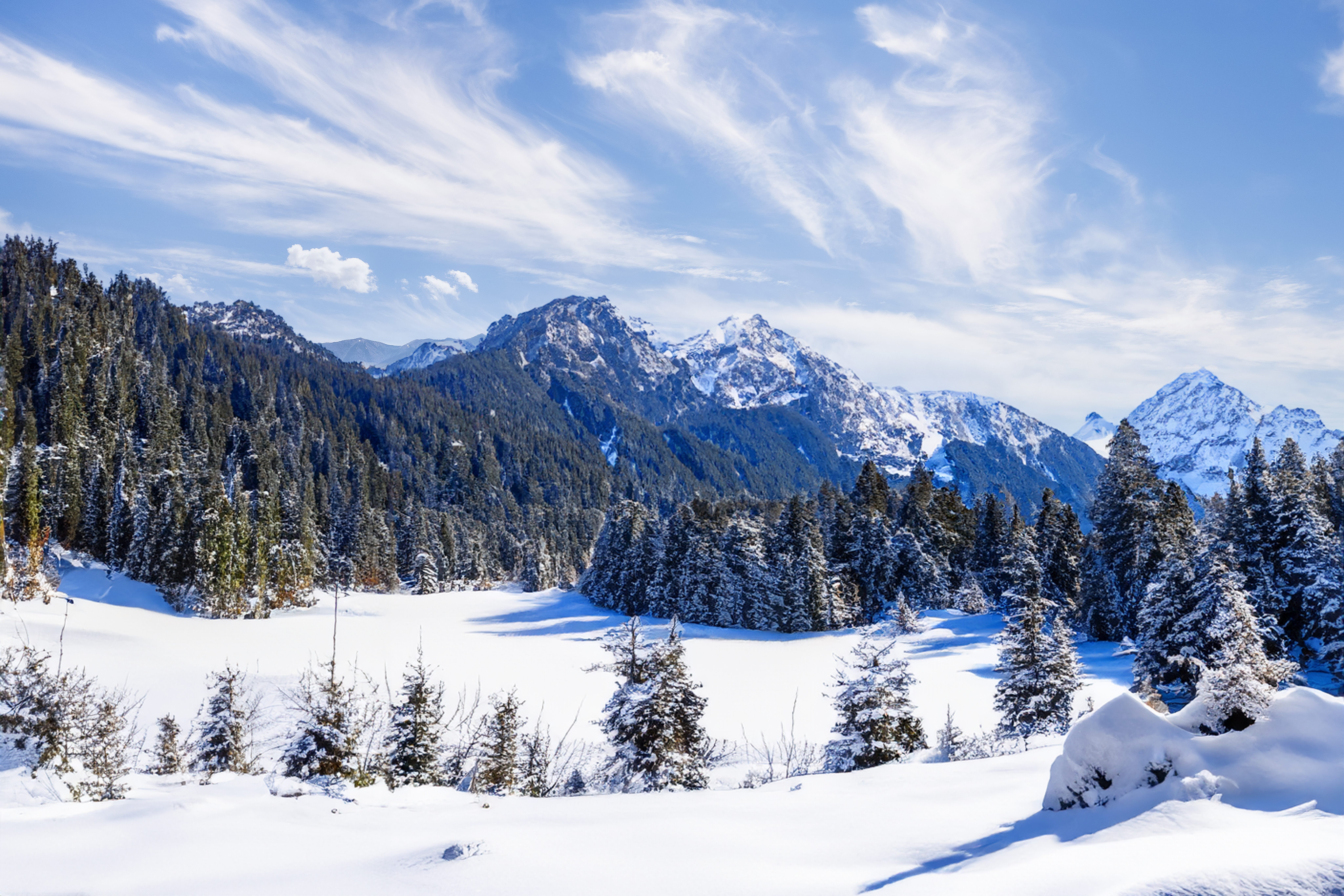 4026 Back Country Adventures