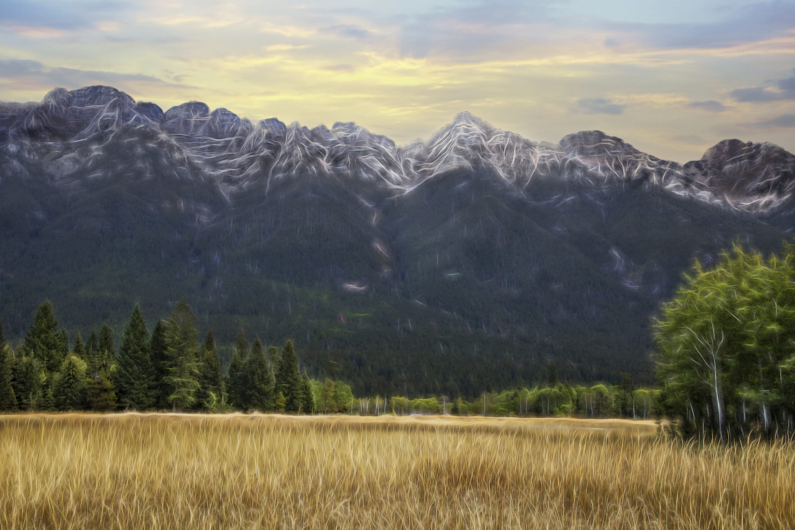 3012 Beyond the Grass