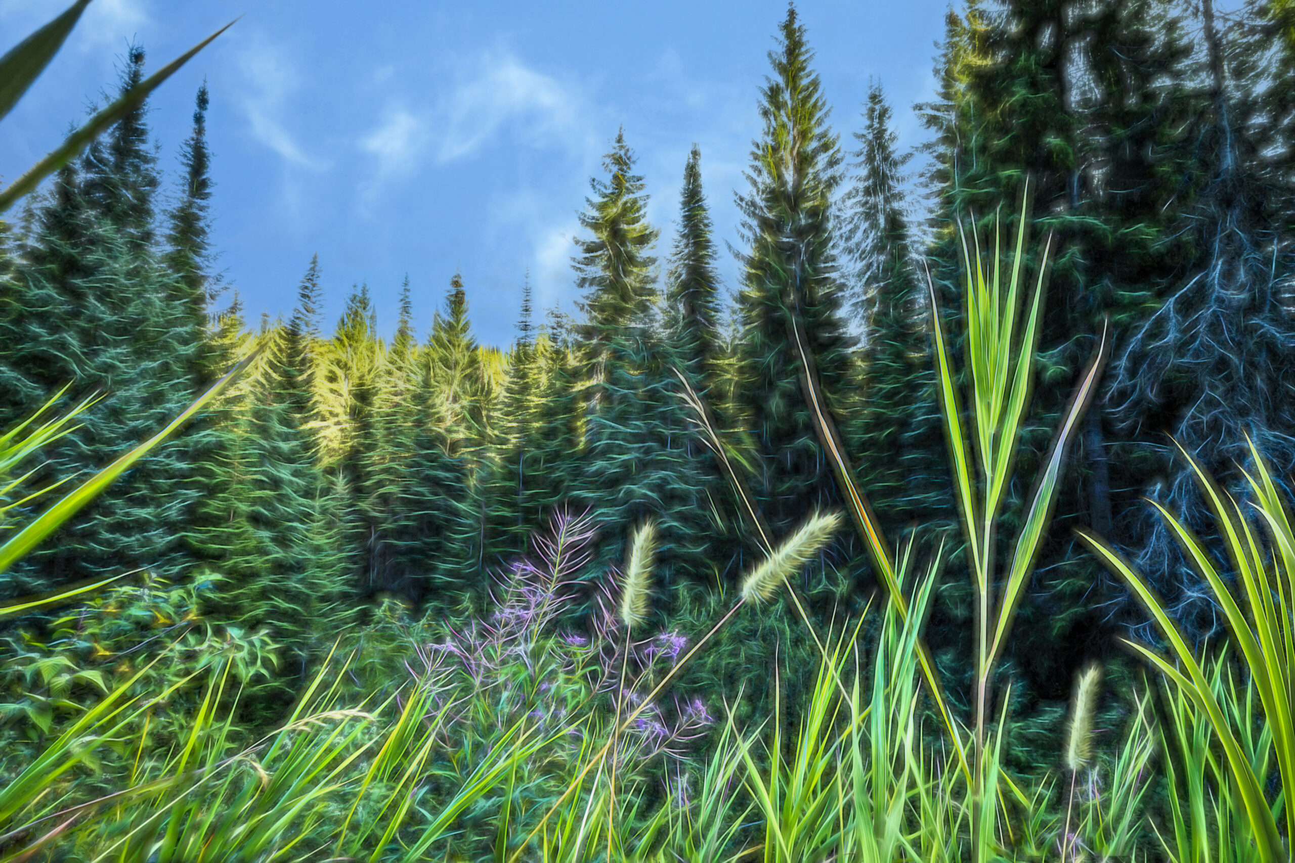 1016 Shades of Green