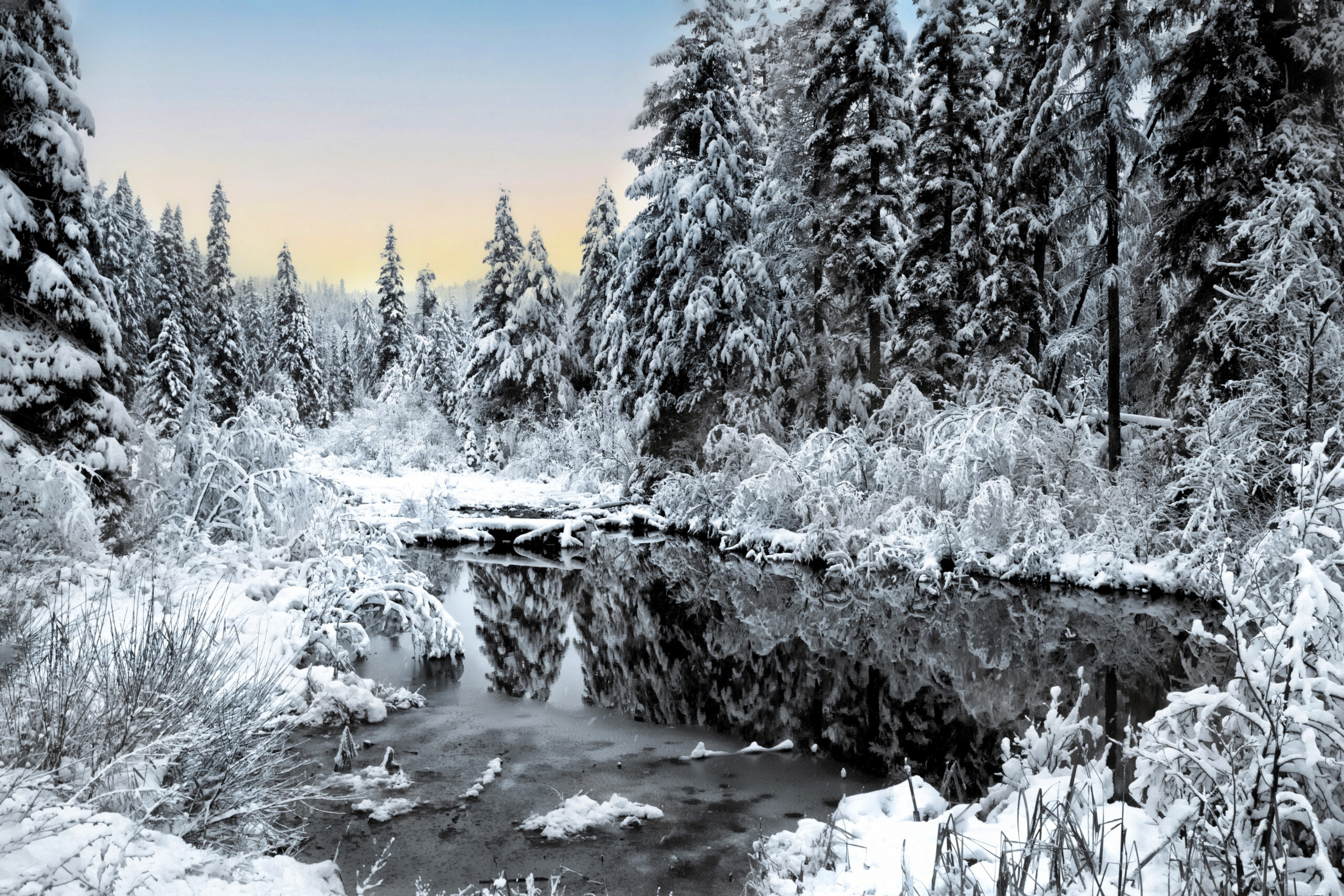 4020 Frozen Reflections