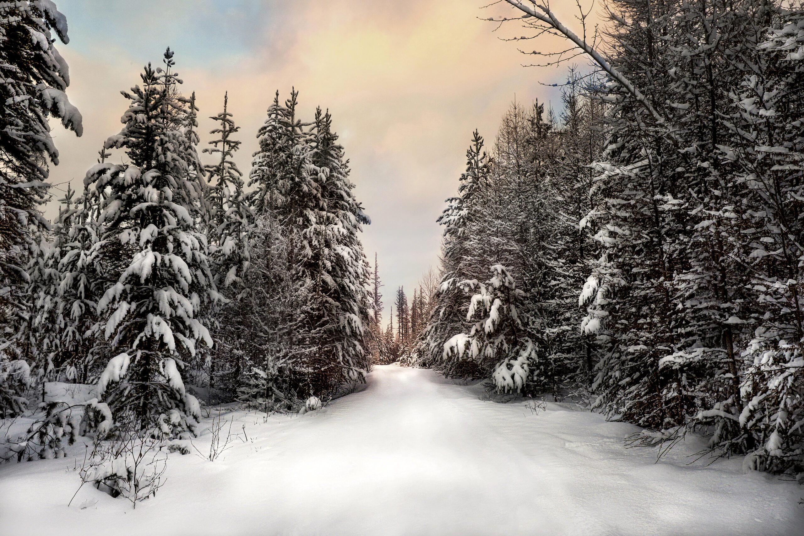 4016 Untouched Beauty