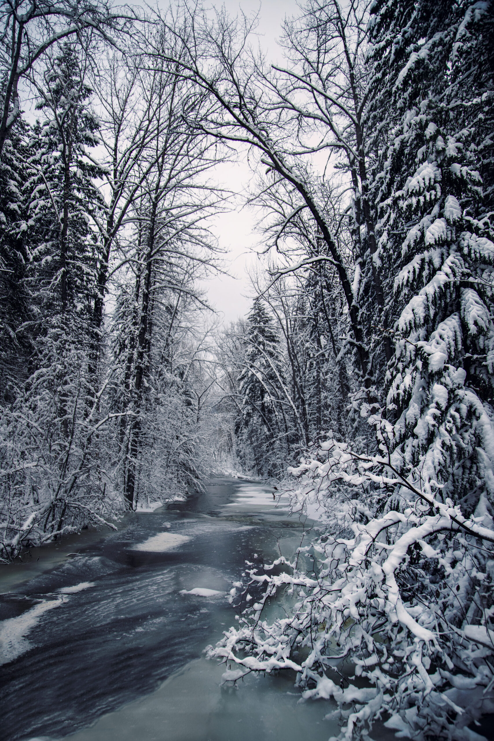 4003 Sleepy November