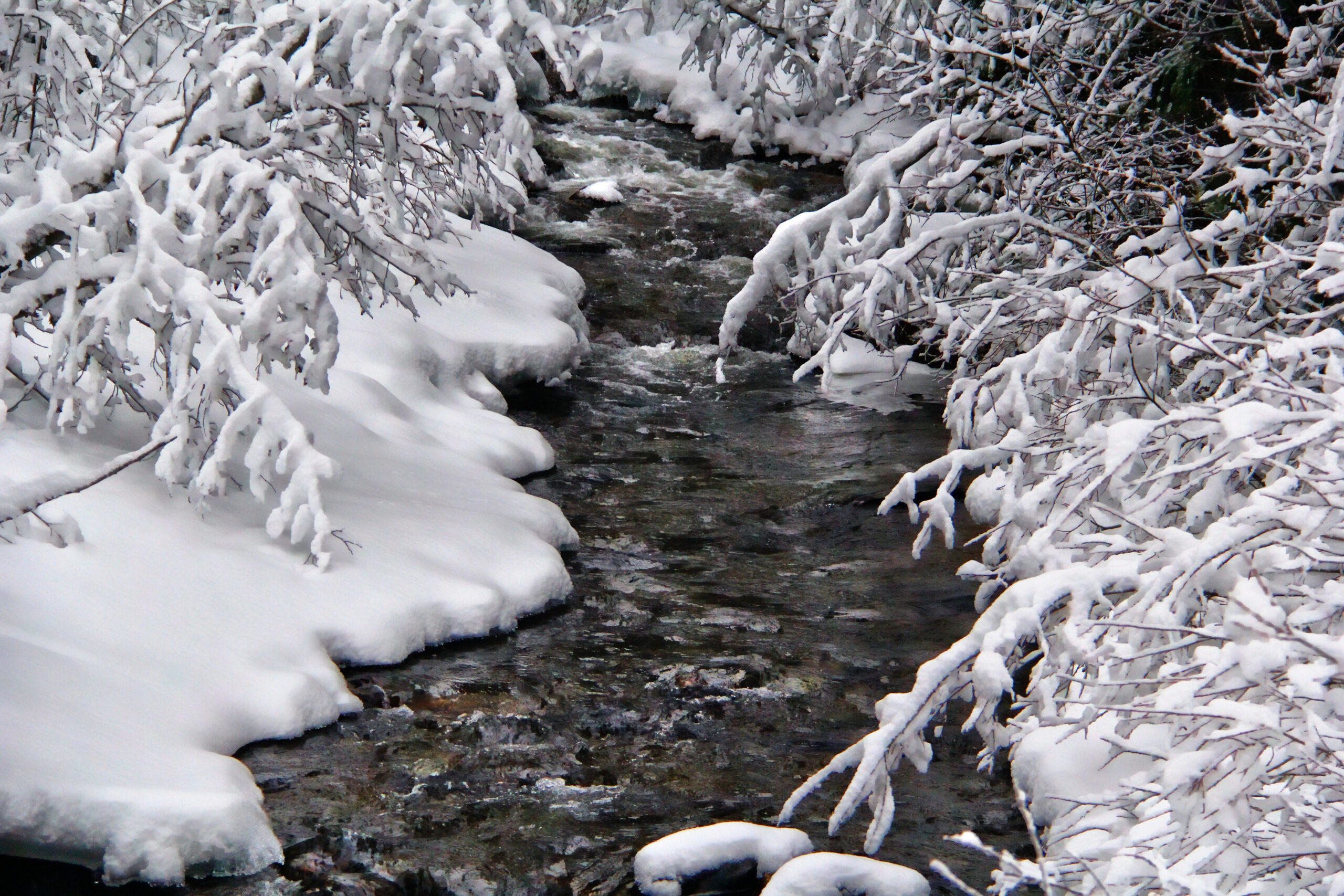 4022 Whispering Water