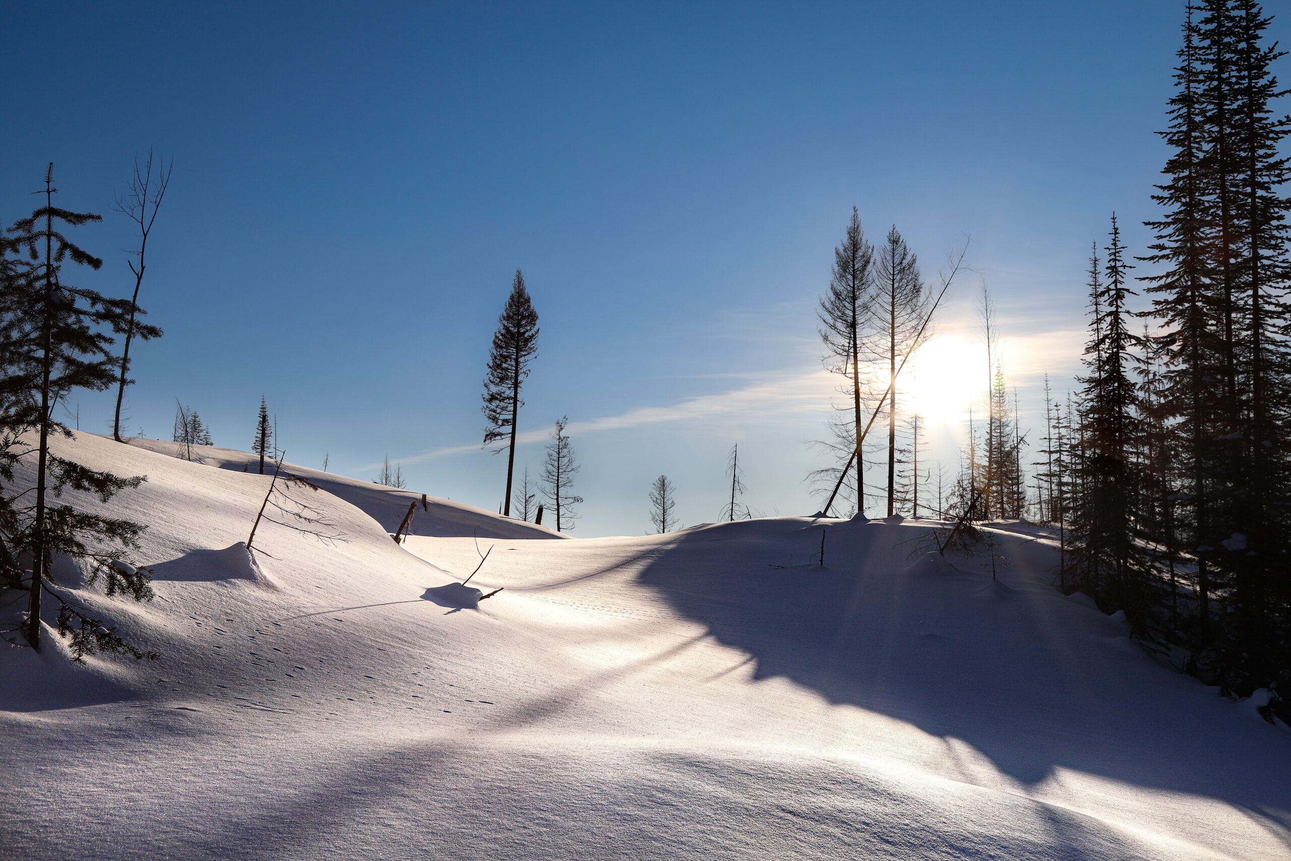 4014 February Brilliance