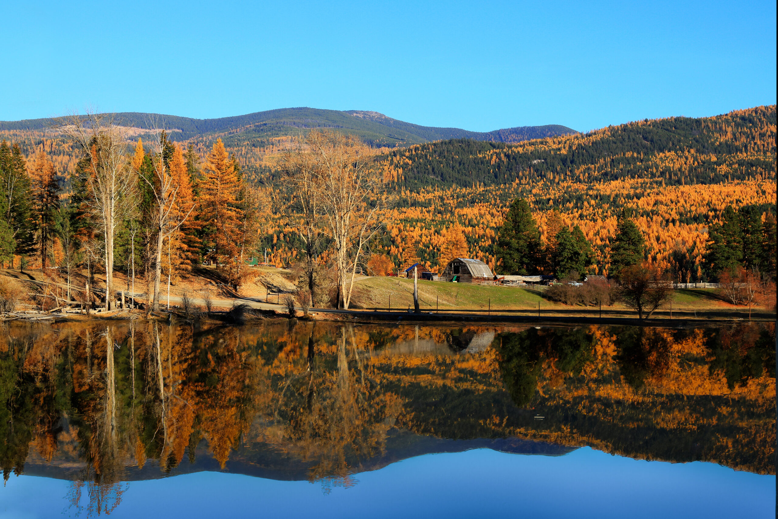 4013 Autumn Country Life