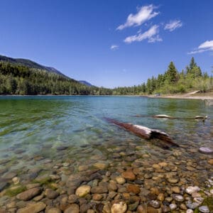 2059 Lazy Larch Lake