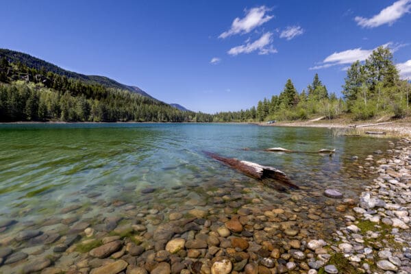 2059 Lazy Larch Lake