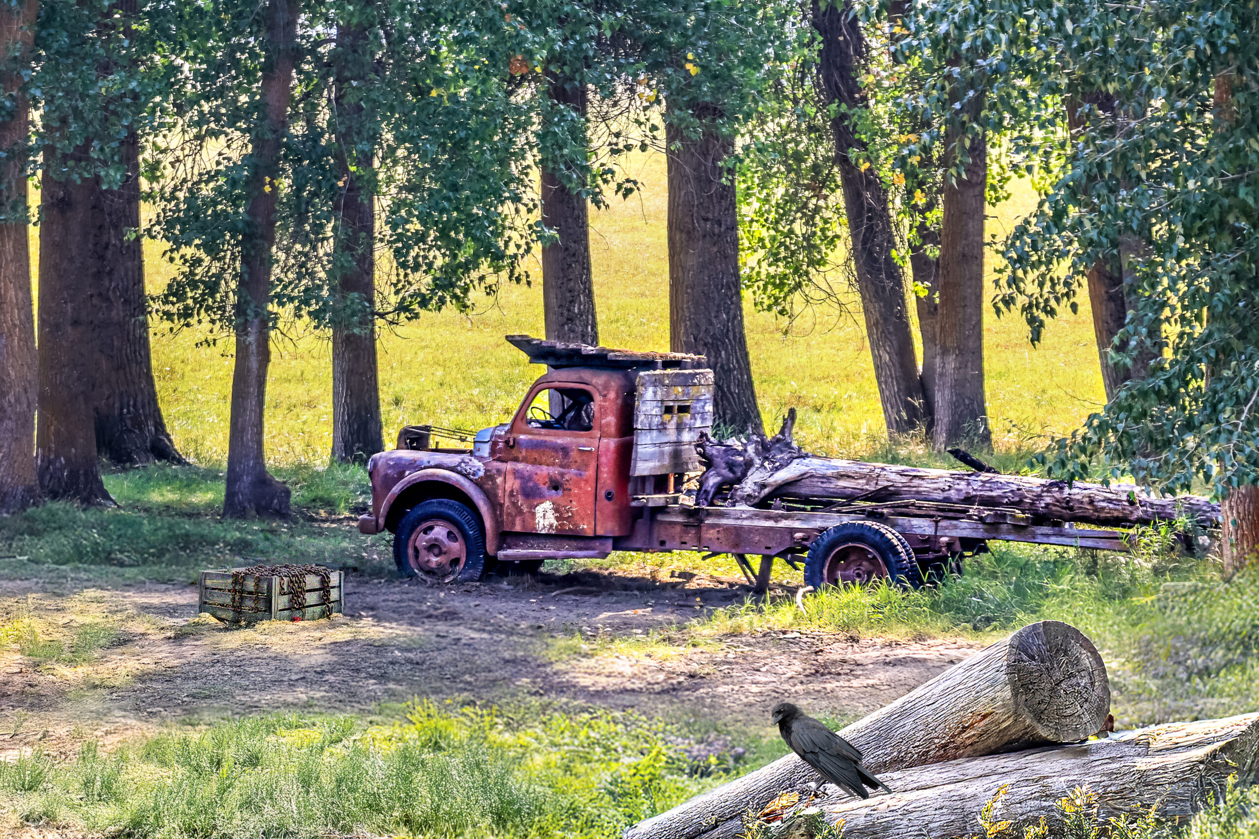 3029 Vintage Logging Truck, Creston B.C.
