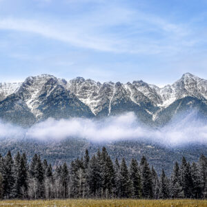 3032 Norbury Autumn Tones