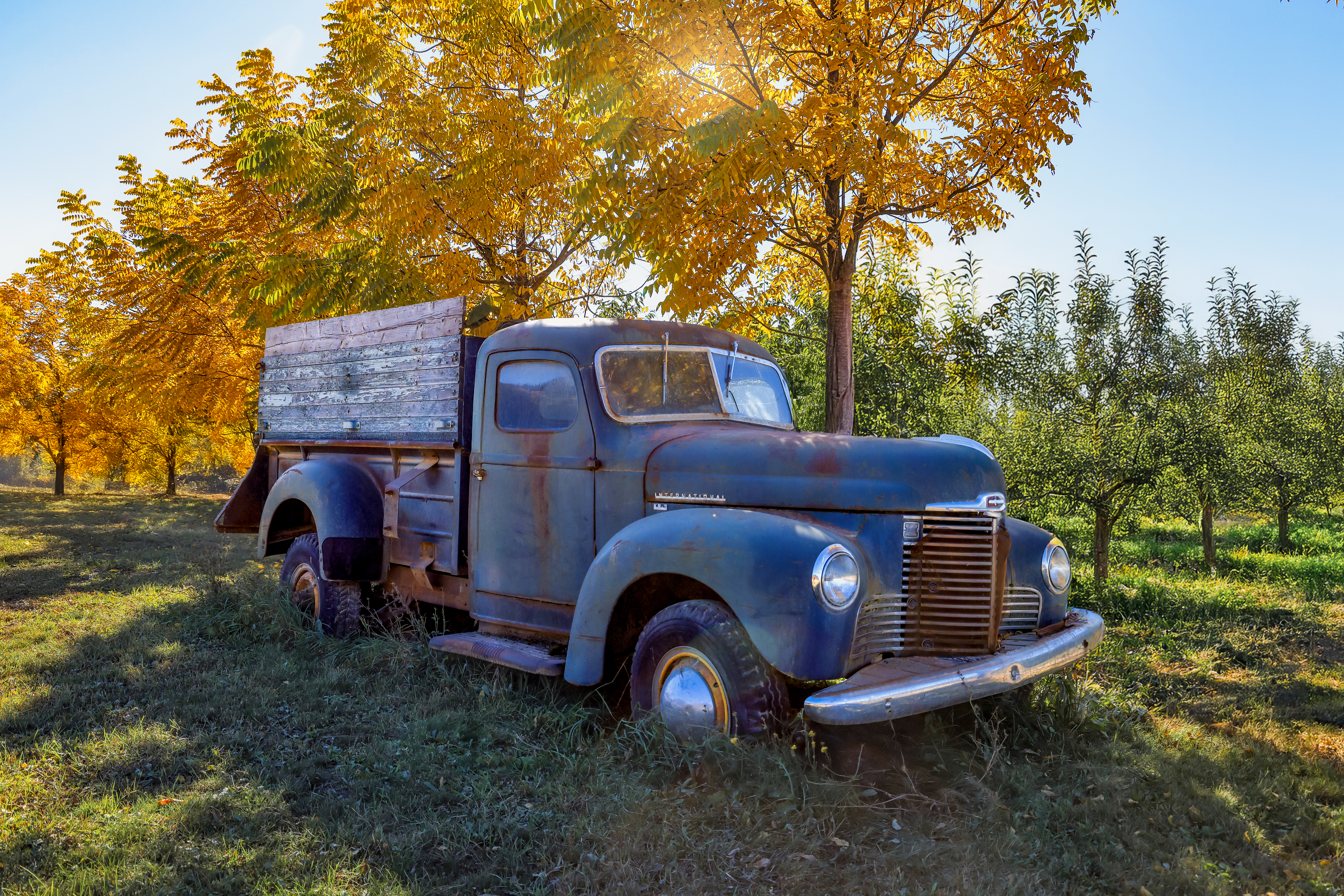 3048 Touch of Class -Creston, B.C.