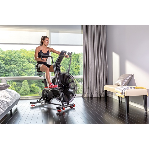 Schwinn Airdyne AD Pro - Image 9