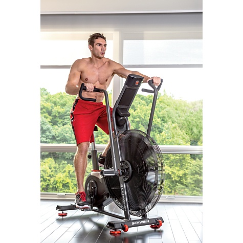 Schwinn Airdyne AD Pro - Image 7
