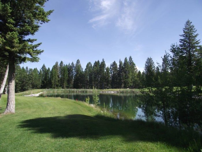 Cranbrook Golf Club - Image 8