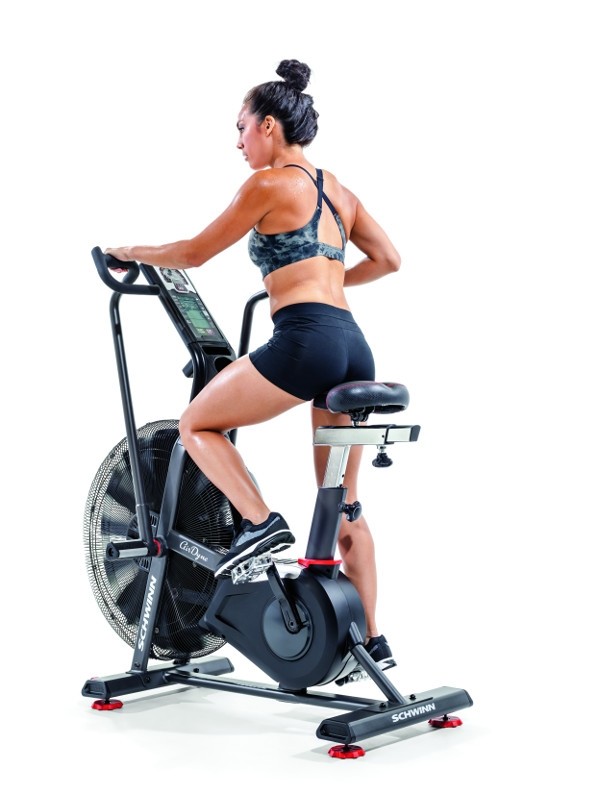 Schwinn Airdyne AD Pro - Image 10