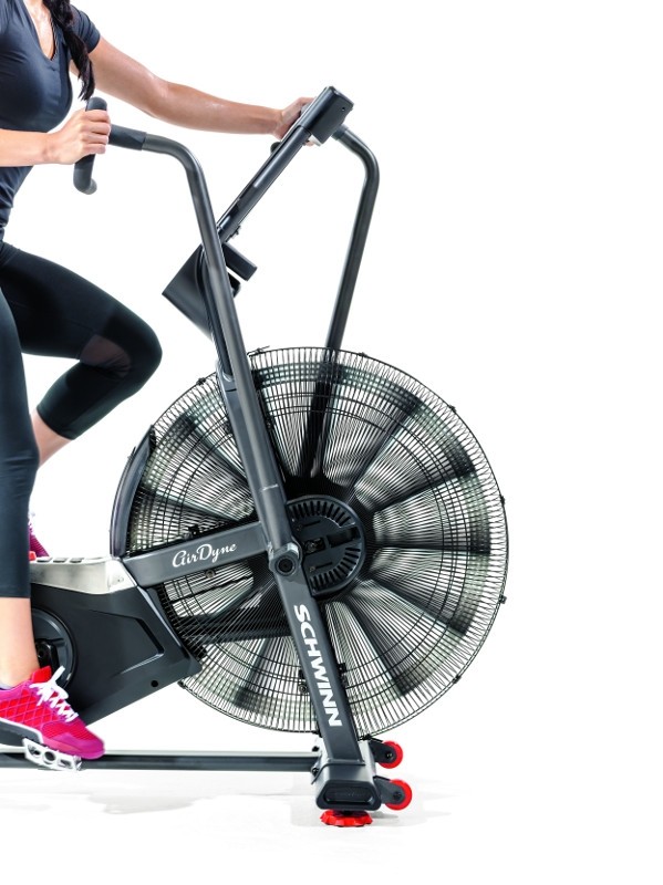 Schwinn Airdyne AD Pro - Image 11