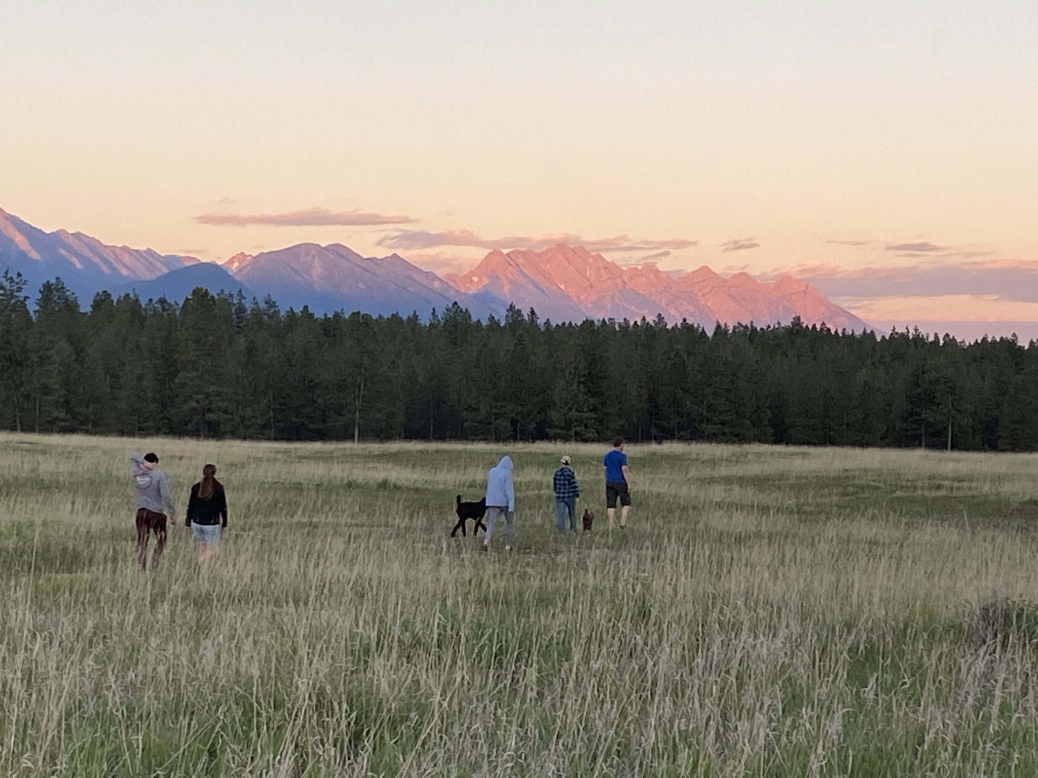 Outdoor Wellness Walk