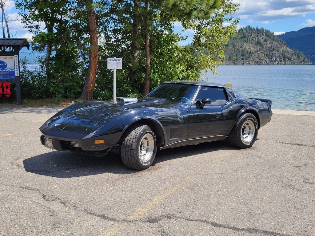 PRO TOURING 79 CORVETTE