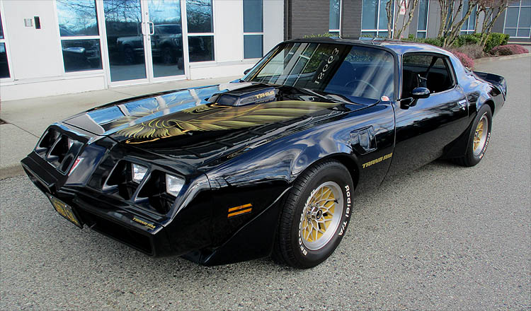 1979 WS6 Trans Am