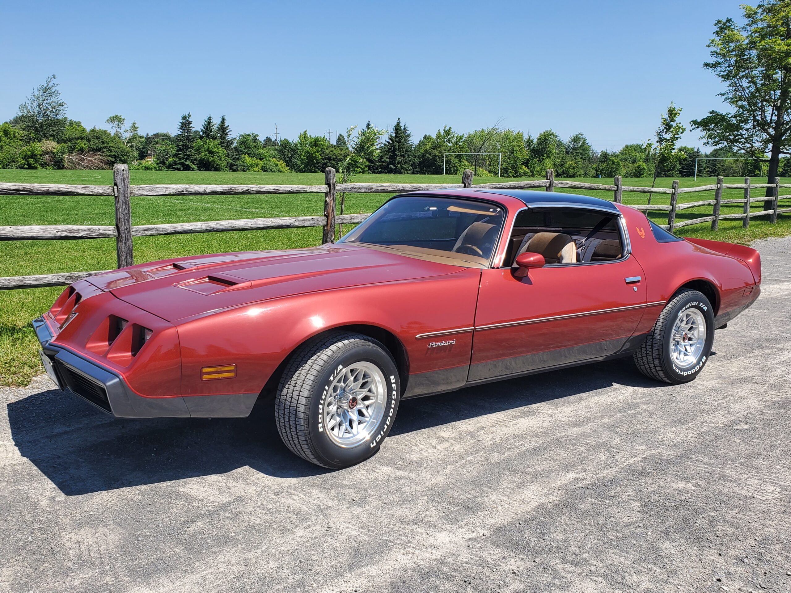 1979 Pontiac Firebird Formula
