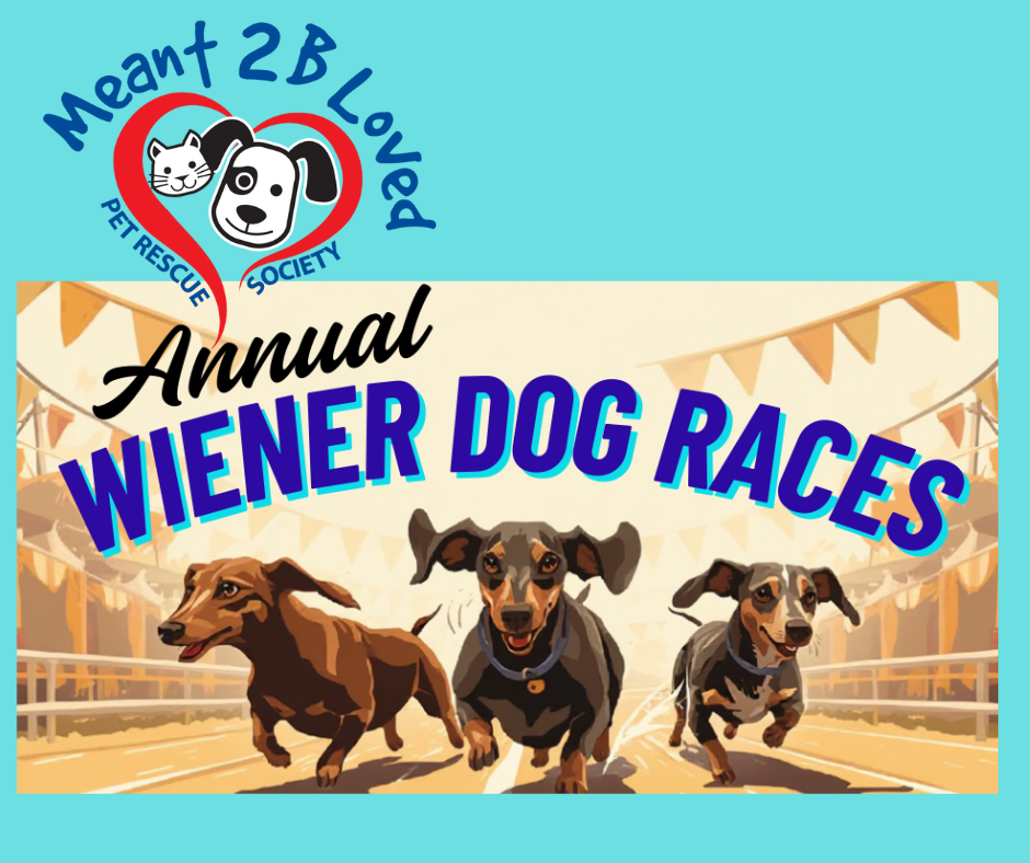 Meant2BLoved Pet Rescue WIENER DOG RACES
