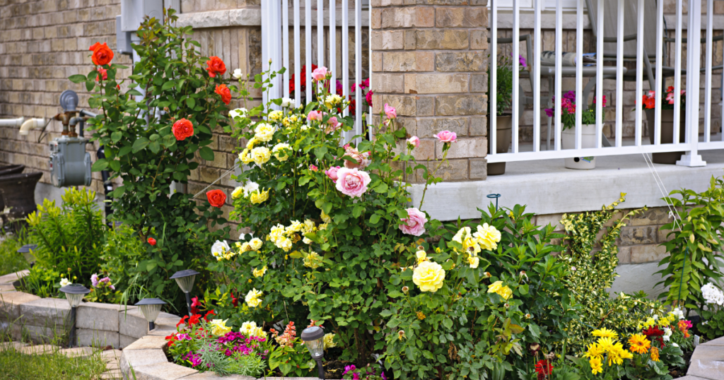 Cultivating Beauty: Gardening and Landscaping in the Heart of Alberta