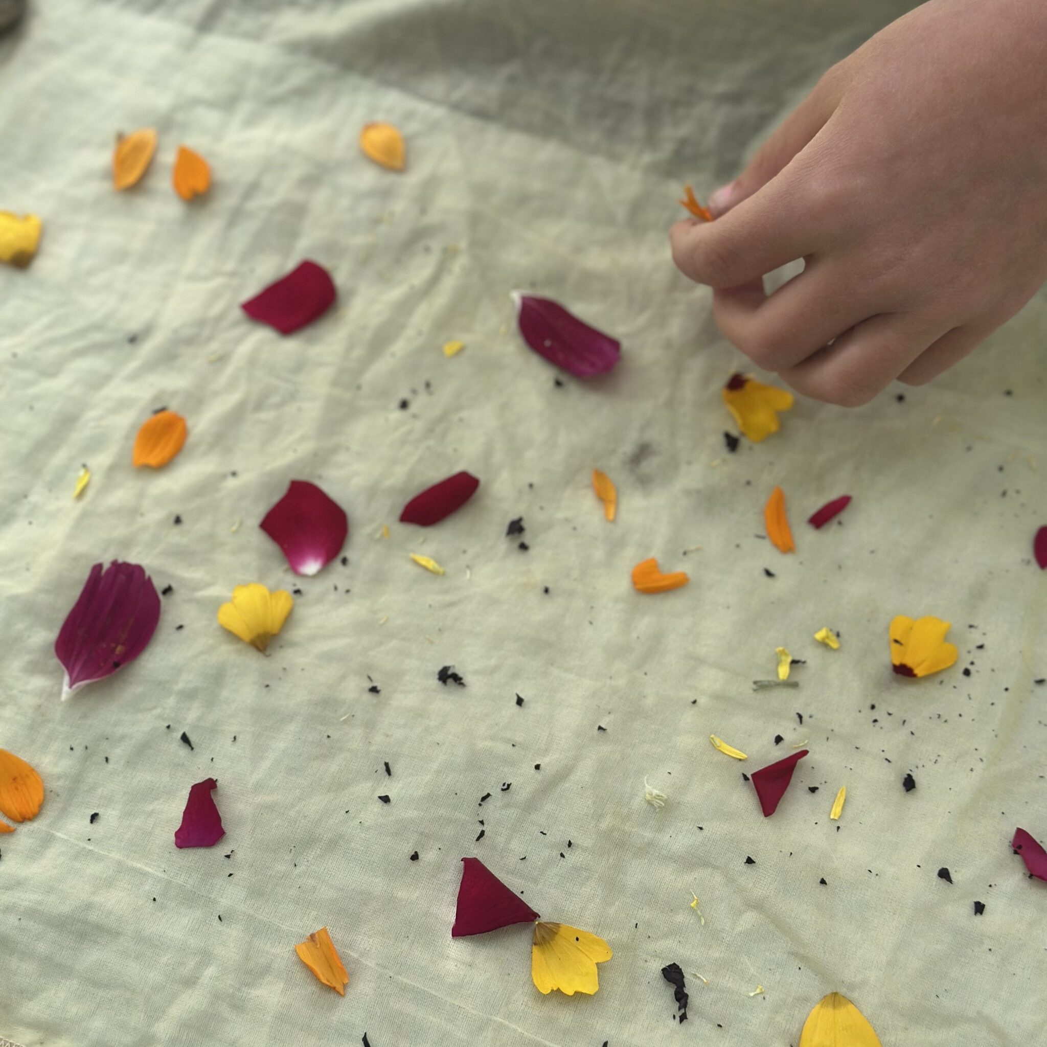 oxygen_botanical printing