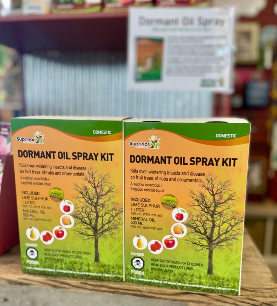 Dormant Oil