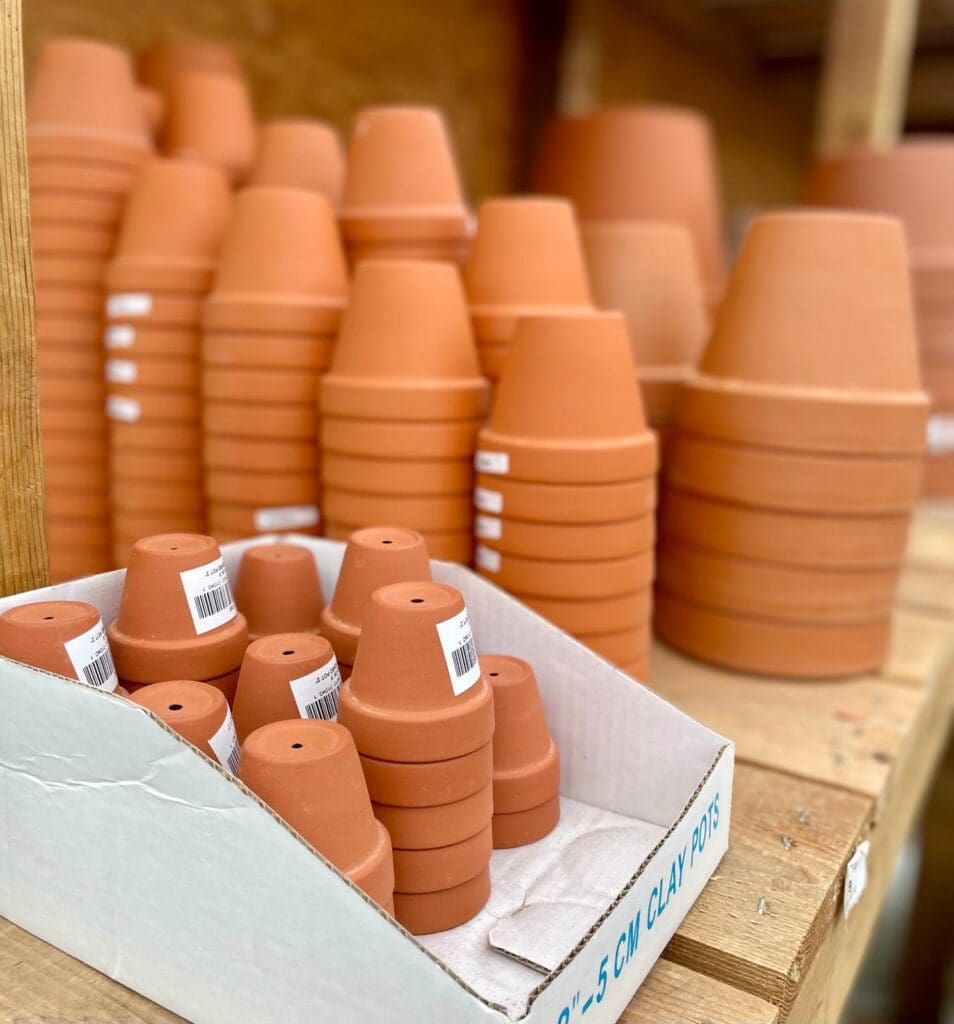 Terracotta Pots