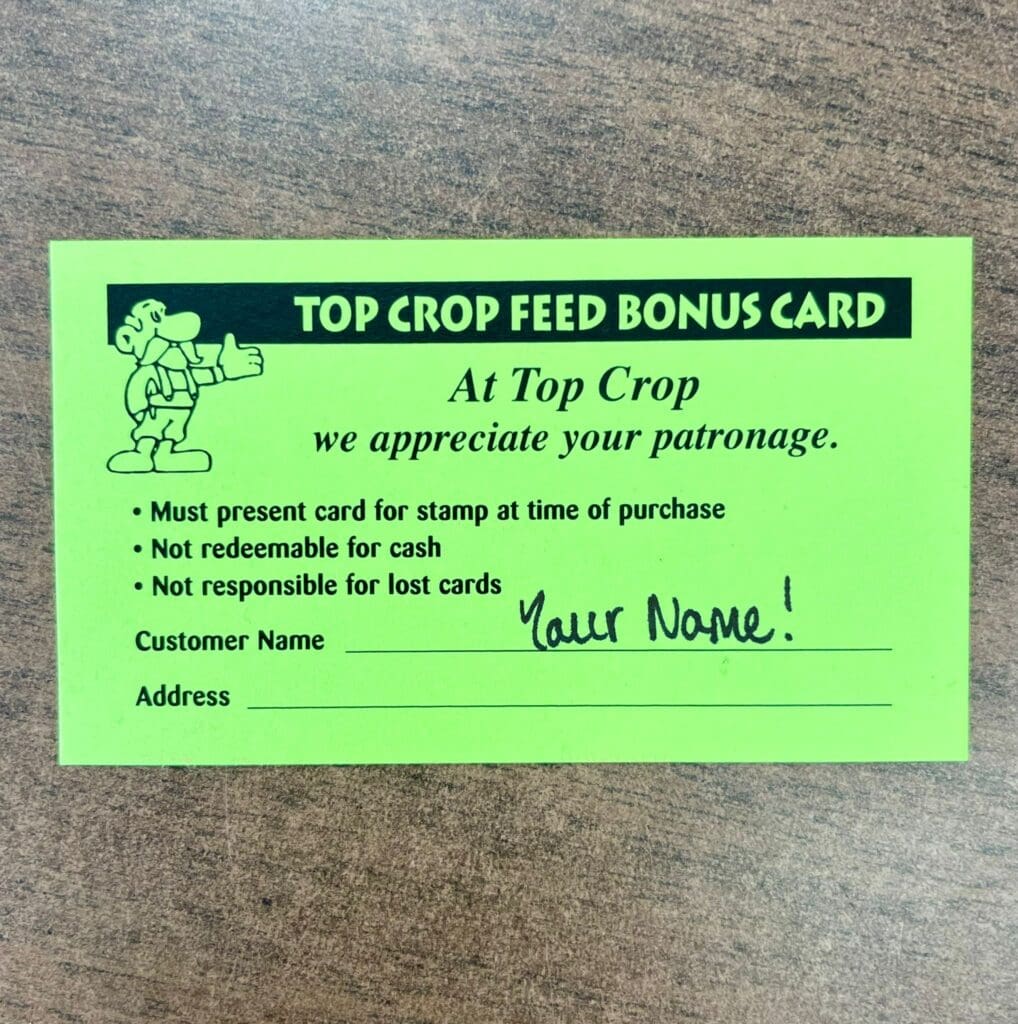 Feed Card