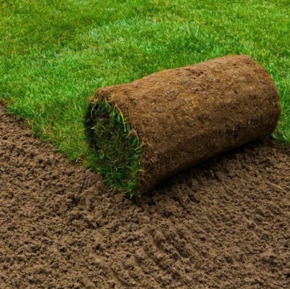 Place your sod order today! 250-489-4555