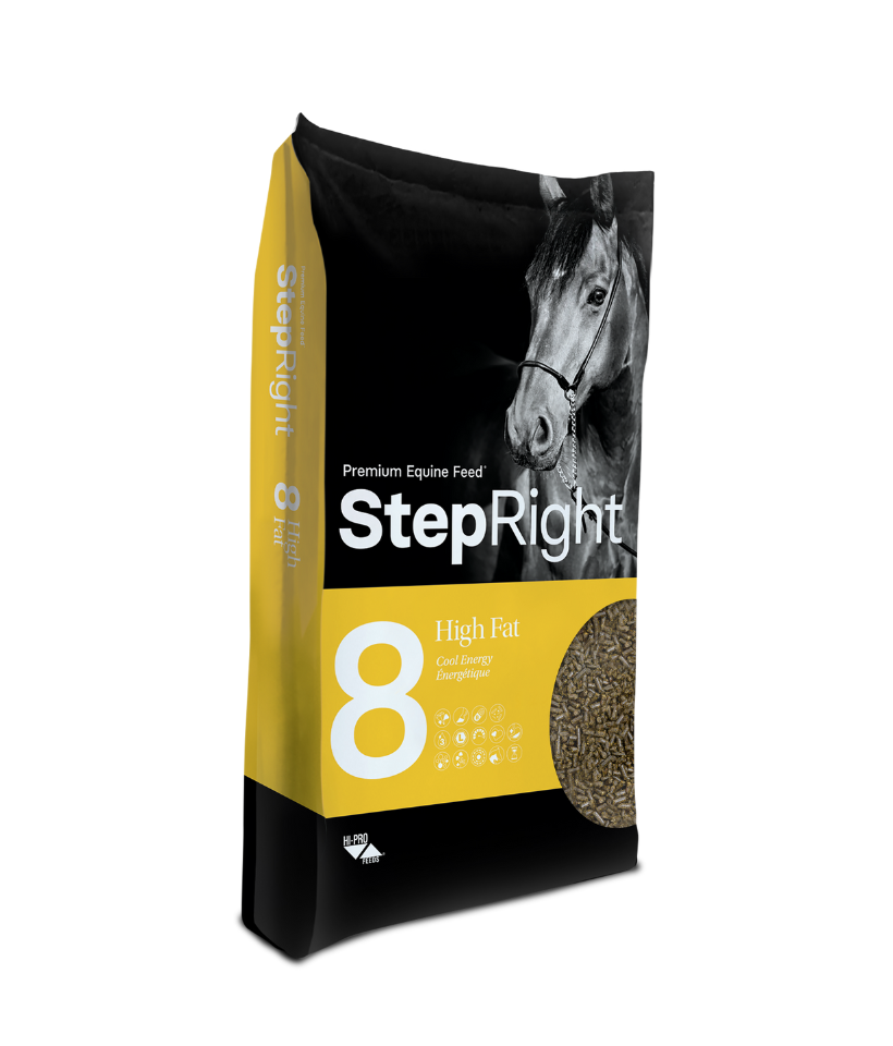 Step 8  High Fat – Cool Energy