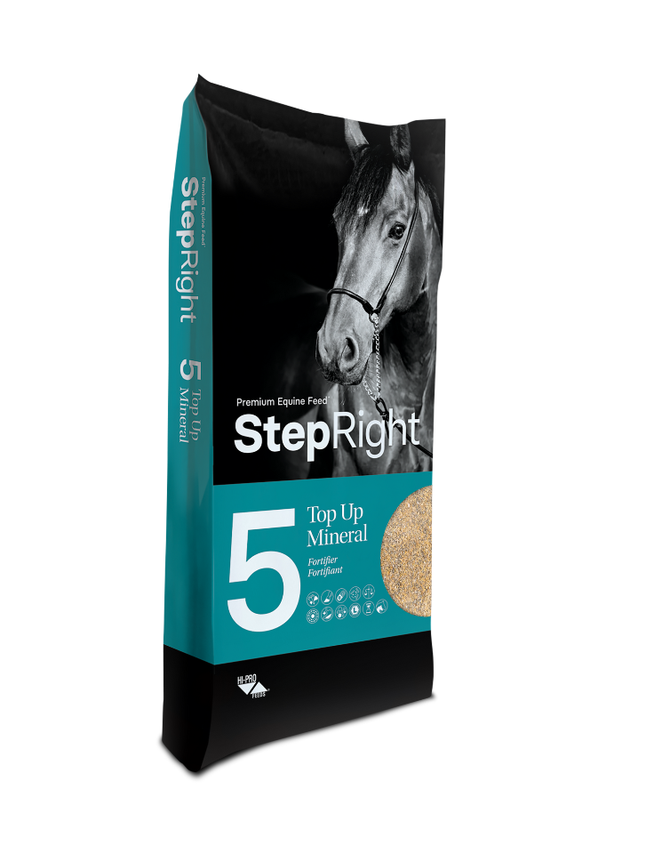 Step 5 Top Up Mineral – Fortifier