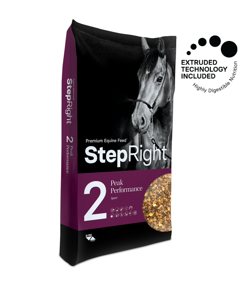 Step 2 Peak Performance – Sport