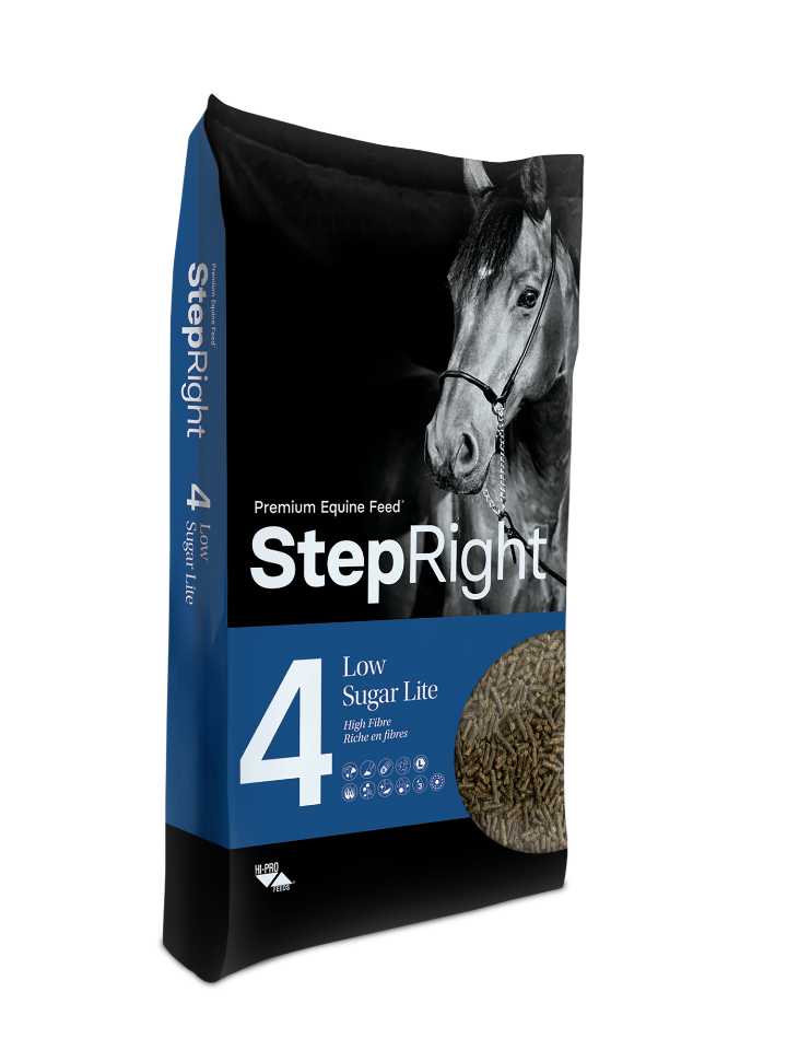 Step 4 Low Sugar Lite – High Fibre
