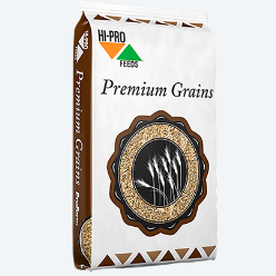 Cracked Corn