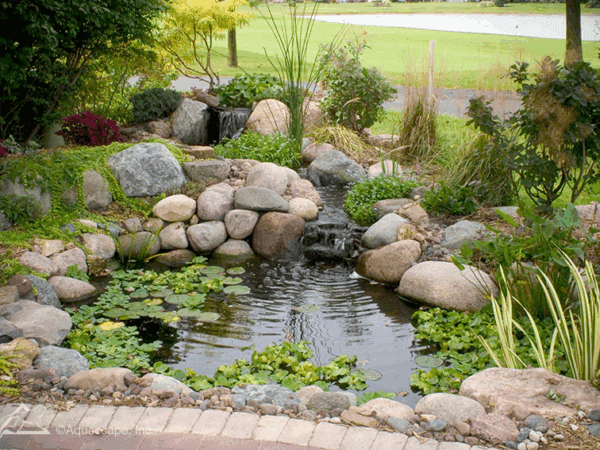 Top Crop Pond/Fountain Information Session