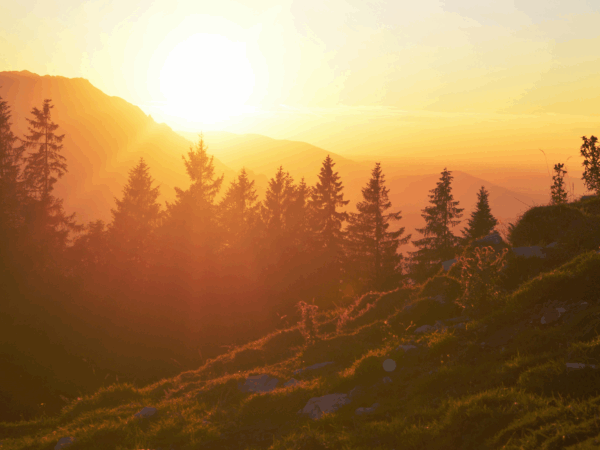 Dawn to Dusk Sale!