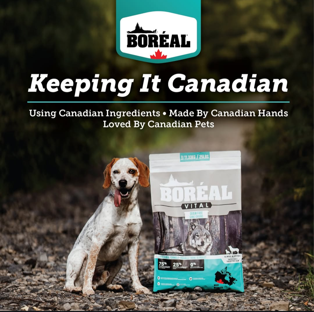 Boreal Dog food