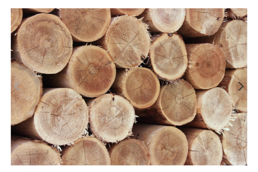 Cedar Posts and Rails