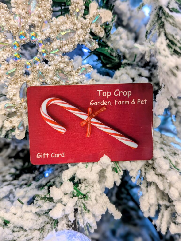 Top Crop Gift Cards