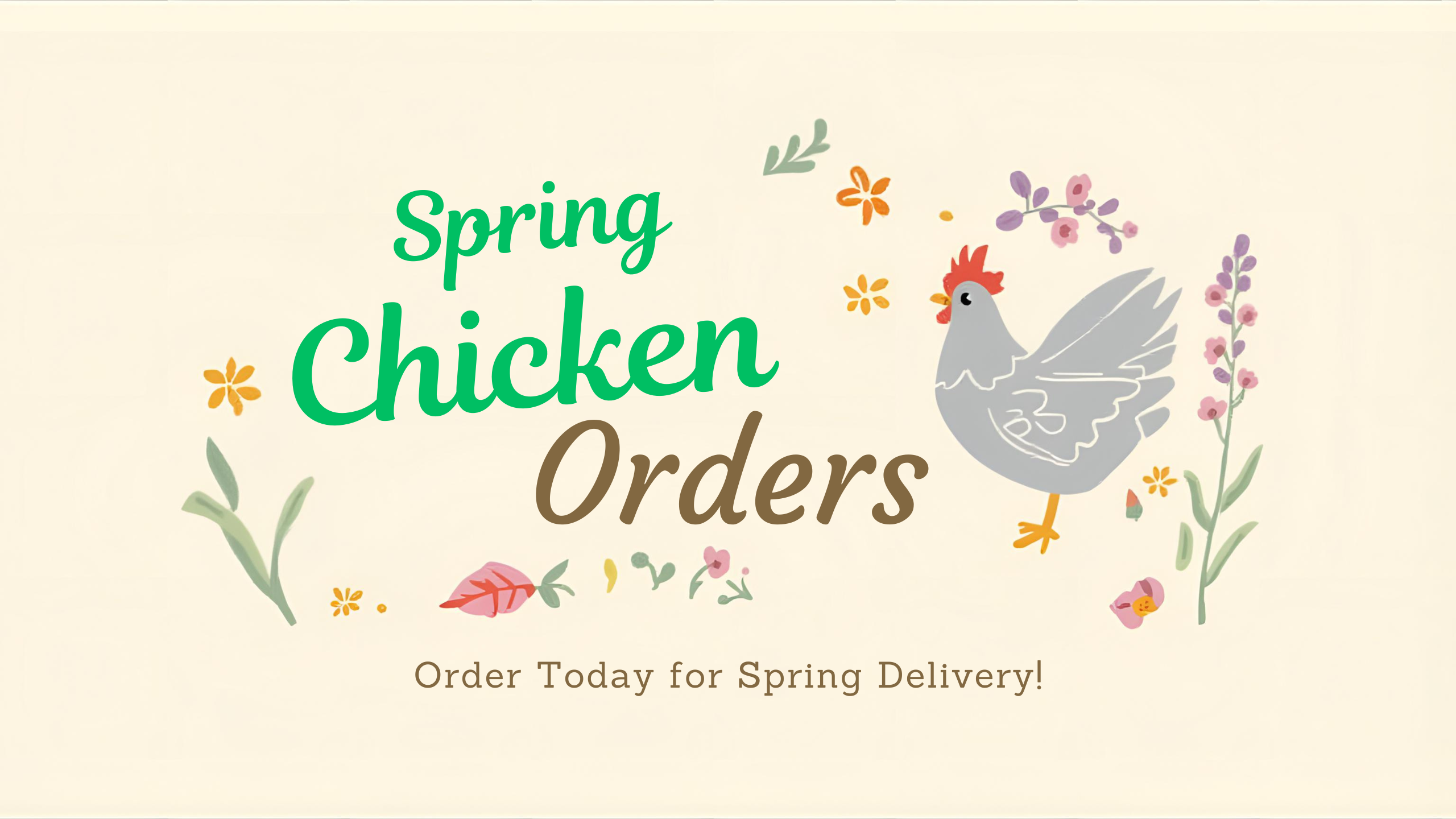 Miller Hatcheries Live Spring Chickens