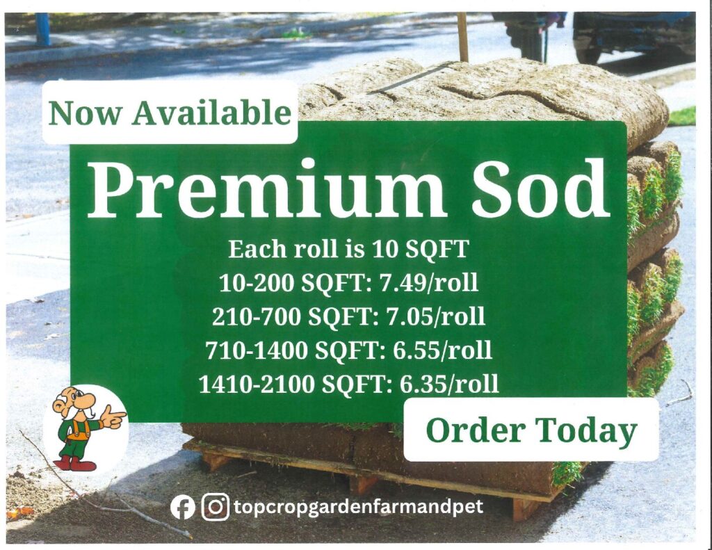 Premium Sod