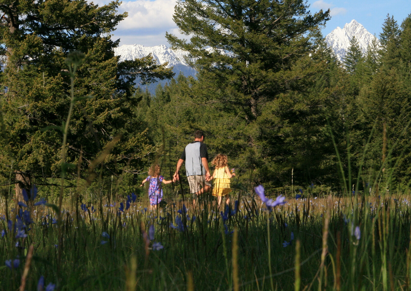 Wildflowers on a stroll through the land at Shadow Mountain