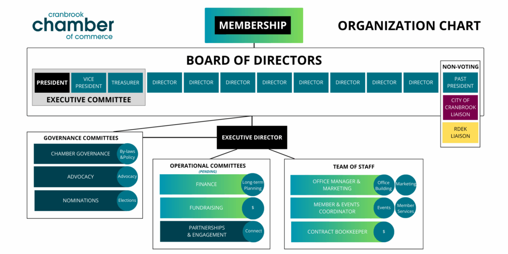 Organization Chart